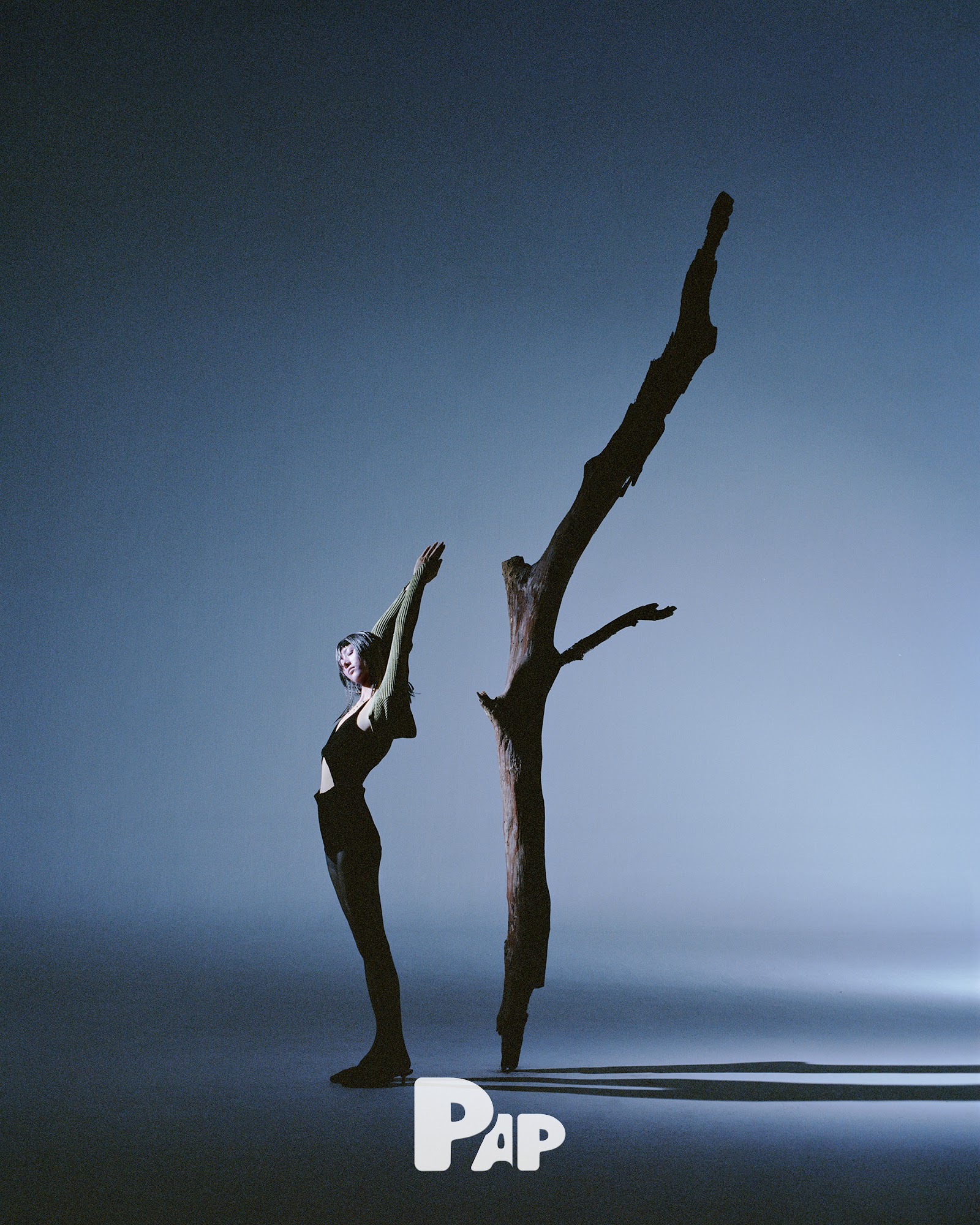 THE LIFE OF A TREE — Look 8