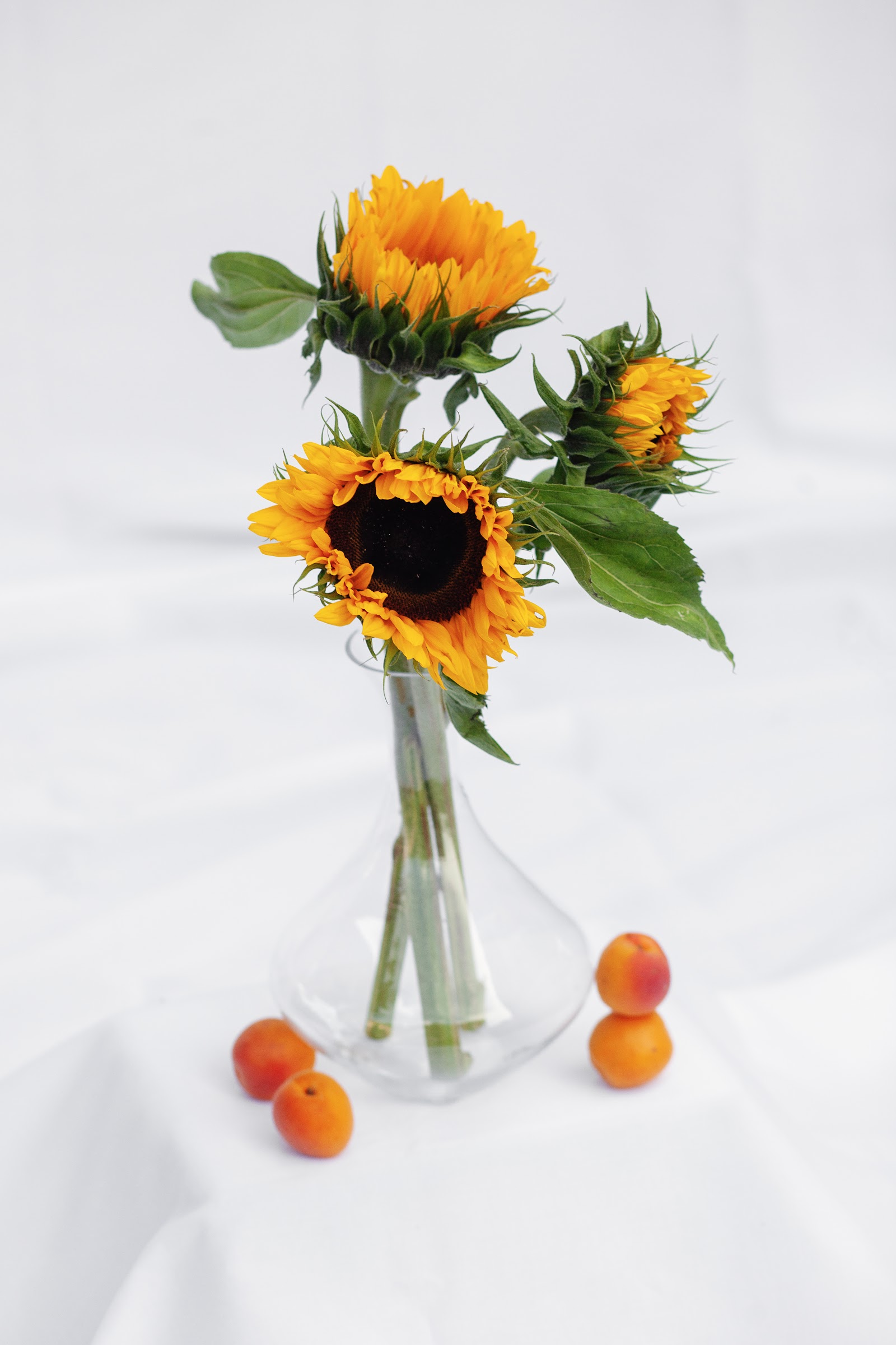 FRUCTUS — Look 4