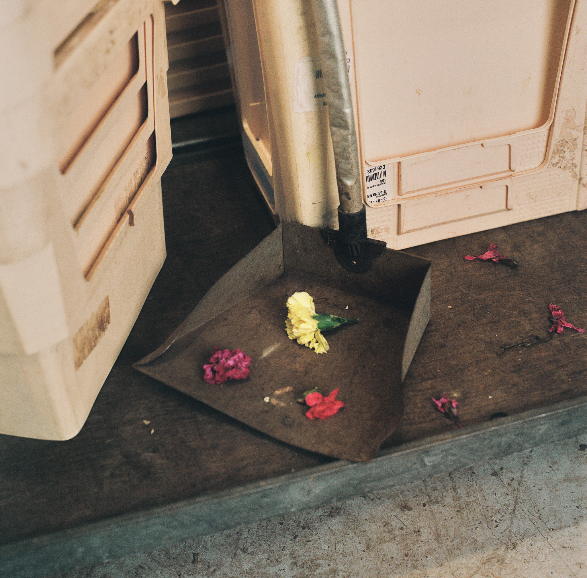 Inner Offerings — Look 2