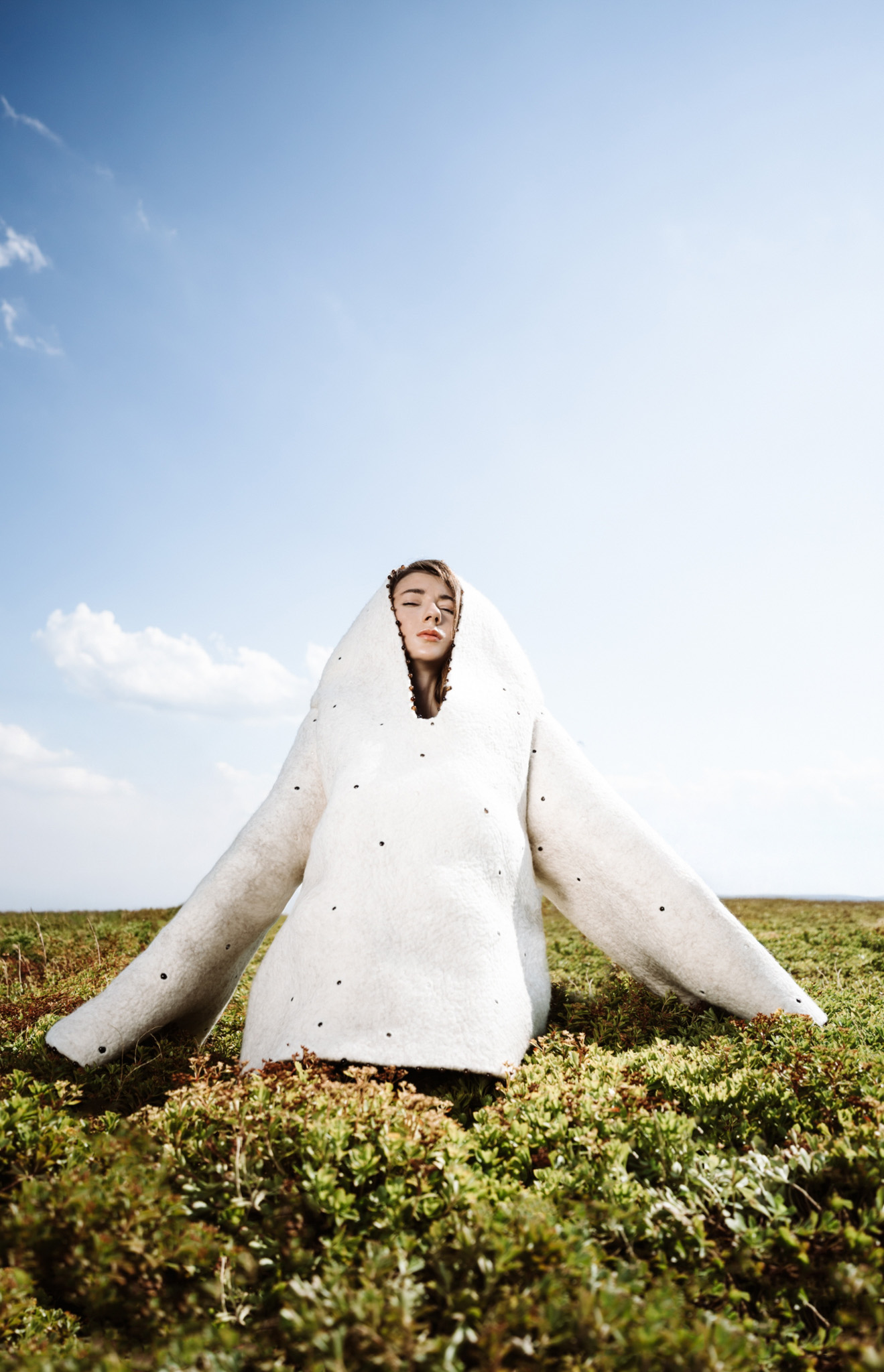 Anatomy of a Territory — Look 8