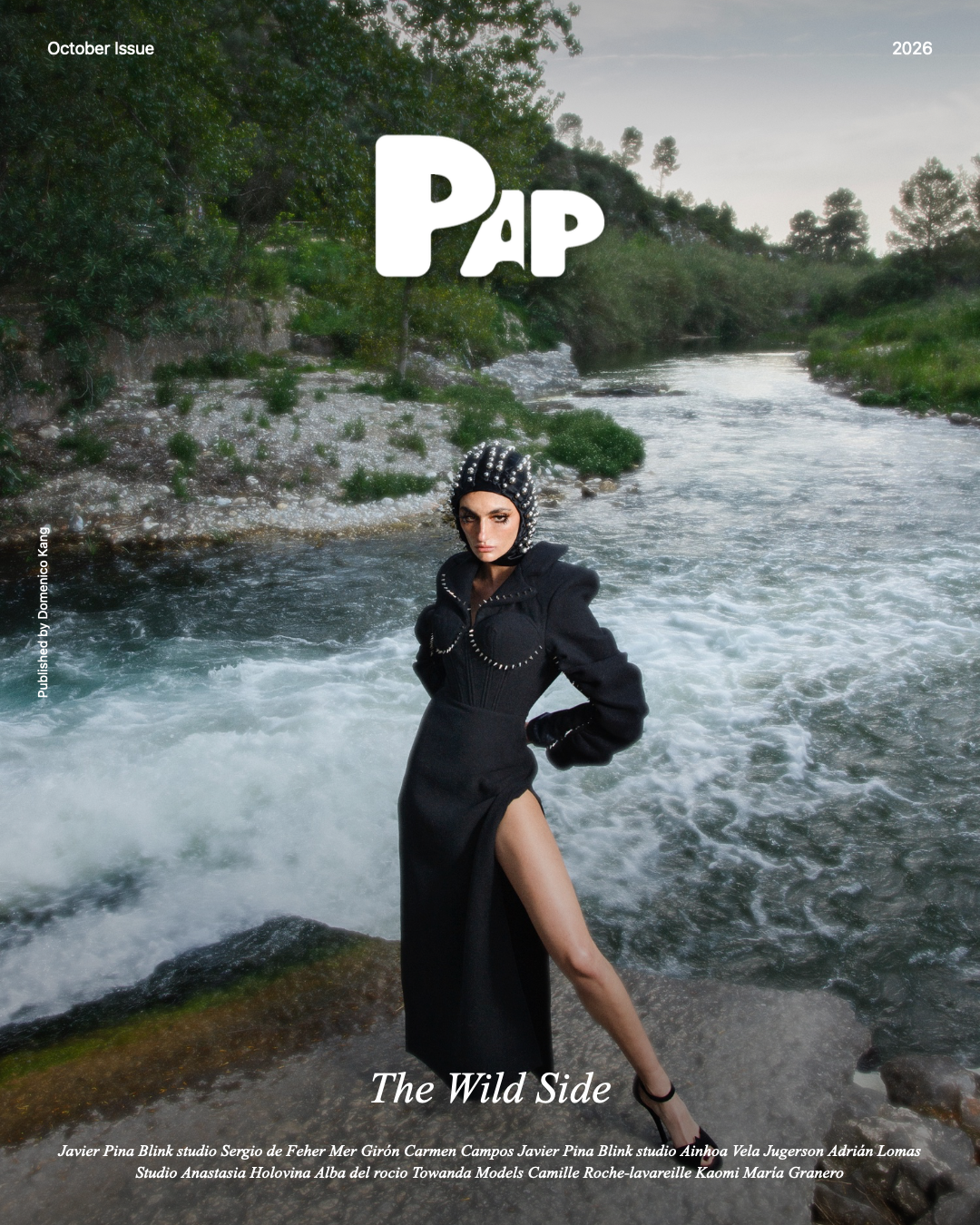 The Wild Side — Cover