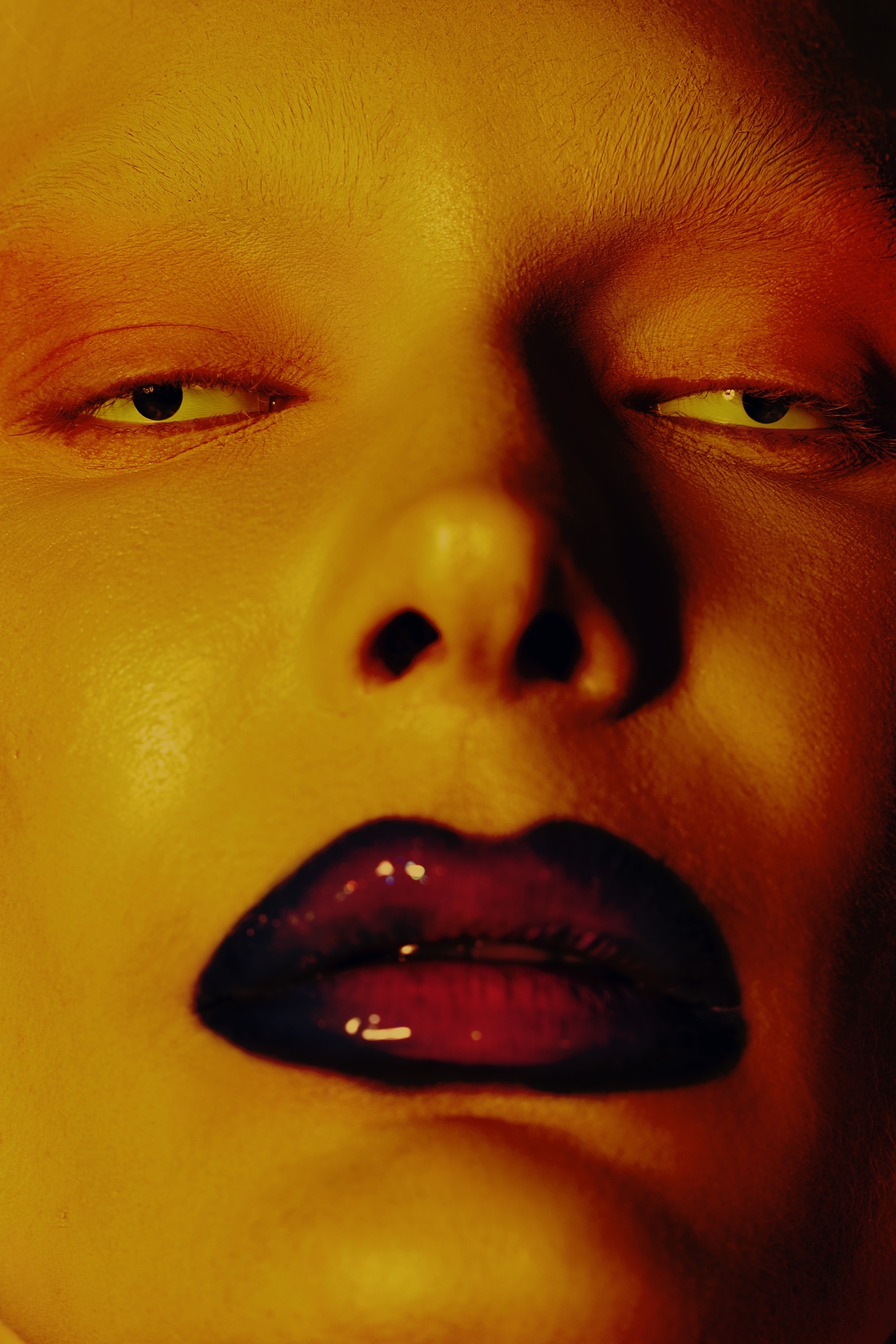 Gilded Flesh — Cover
